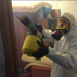 Уничтожение клопов в квартире. Романовка